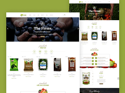 Organic Food Store Shopify Theme - Ogani shopify theme