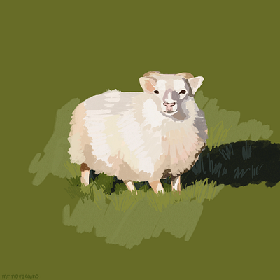 little sheep illustration