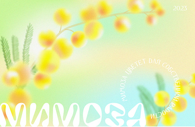mimosa 2d design gradient graphic design illustration print vector