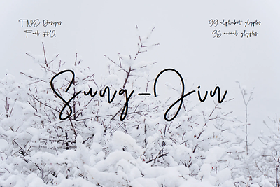 Sung-Jin script font font fonts script script font sung jin typeface typography