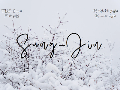 Sung-Jin script font font fonts script script font sung jin typeface typography