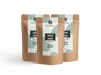 Edible insect startup product design branding design edible insects foodsupplement graphic design label logo startup