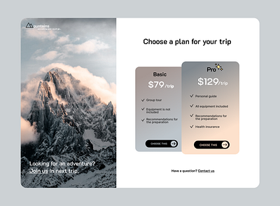 Pricing page choose plan page logo pricing page ui