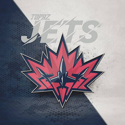 Topaz Jets brand design branding brands design graphic design illustration logo logo design sports vector