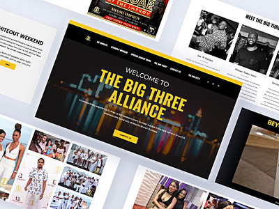 The Big Three Alliance Website Design mockup modern