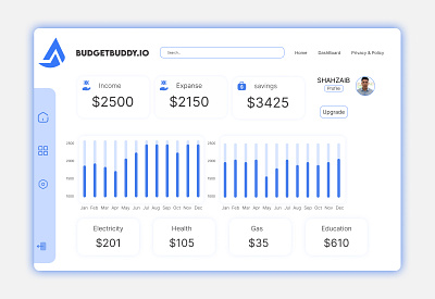 BudgetBuddy.io Dashboard: Income/expanse tracker branding dashboard graphic design ui web