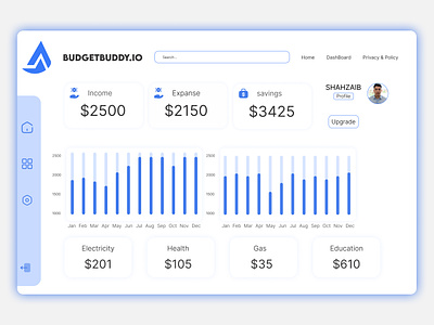 BudgetBuddy.io Dashboard: Income/expanse tracker branding dashboard graphic design ui web