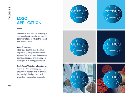 Medical Branding and Web Design branding design logo medical medical branding medical web design style guide urology web design website
