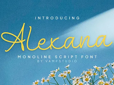 Alexana Monoline Script Font branding design font font awesome font design font family fonts