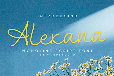 Alexana Monoline Script Font branding design font font awesome font design font family fonts