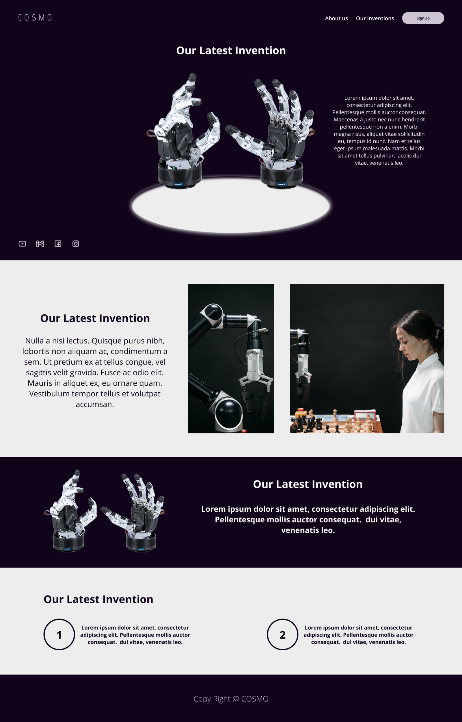 Example of LANDING PAGE