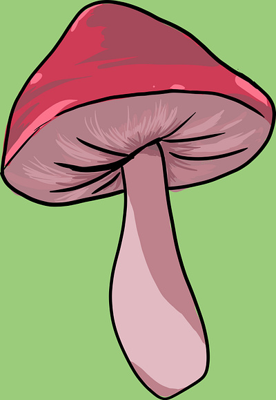 honguito art design illustration mushroom personal portfolio
