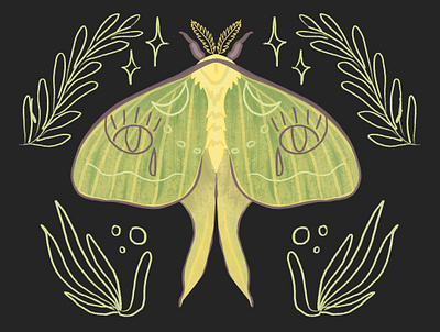 Luna Moth design illustration logo