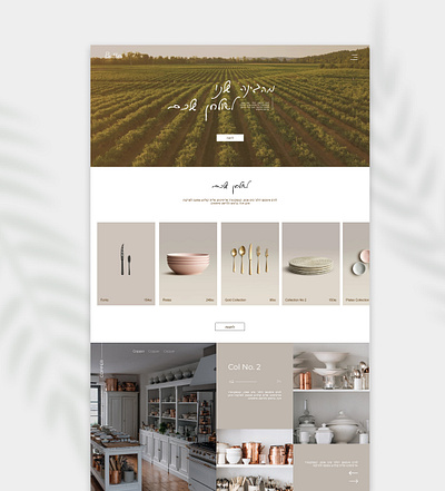 Boutique Shop for foodies boutique branding clean design concept design ecommerce graphic design minimalist typography ui ux website