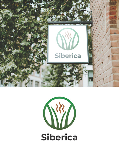 Siberica logo Visualisation adobeillustrator branding design designer graphic design illustration logo vector