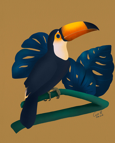 Toucan bird exotic illustration jungle procreate tropical