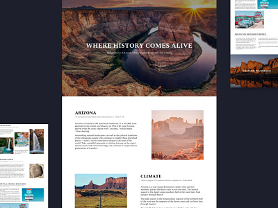 Website Design : landing page Arizona #2 arizona design landing ui ux web website