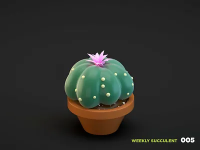 Weekly Succulent 005 3d blender c4d cinema 4d houseplant illustration lowpolly render succulent