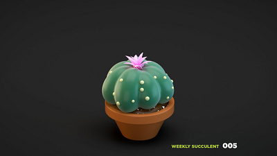 Weekly Succulent 005 3d blender c4d cinema 4d houseplant illustration lowpolly render succulent