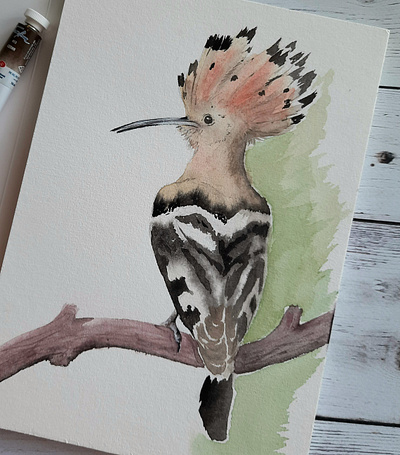 Hoopoe bird bird drawing illustration watercolor watercolor painting