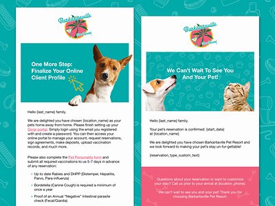 Registration E-Blast Pet Resort branding design graphic design ui ux