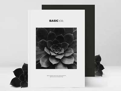 Basic Brand Manual & Guidelines a4 book booklet brochure catalog catalogue clean editorial flyer indesign layout lookbook magazine minimal modern photography portfolio print proposal template