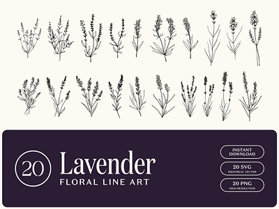 Lavender - Floral Line Art design element digital download floral flower illustration instant download lavender line art svg vector wedding