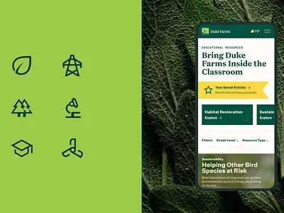 Duke Farms design iconography illustration ui ux web website