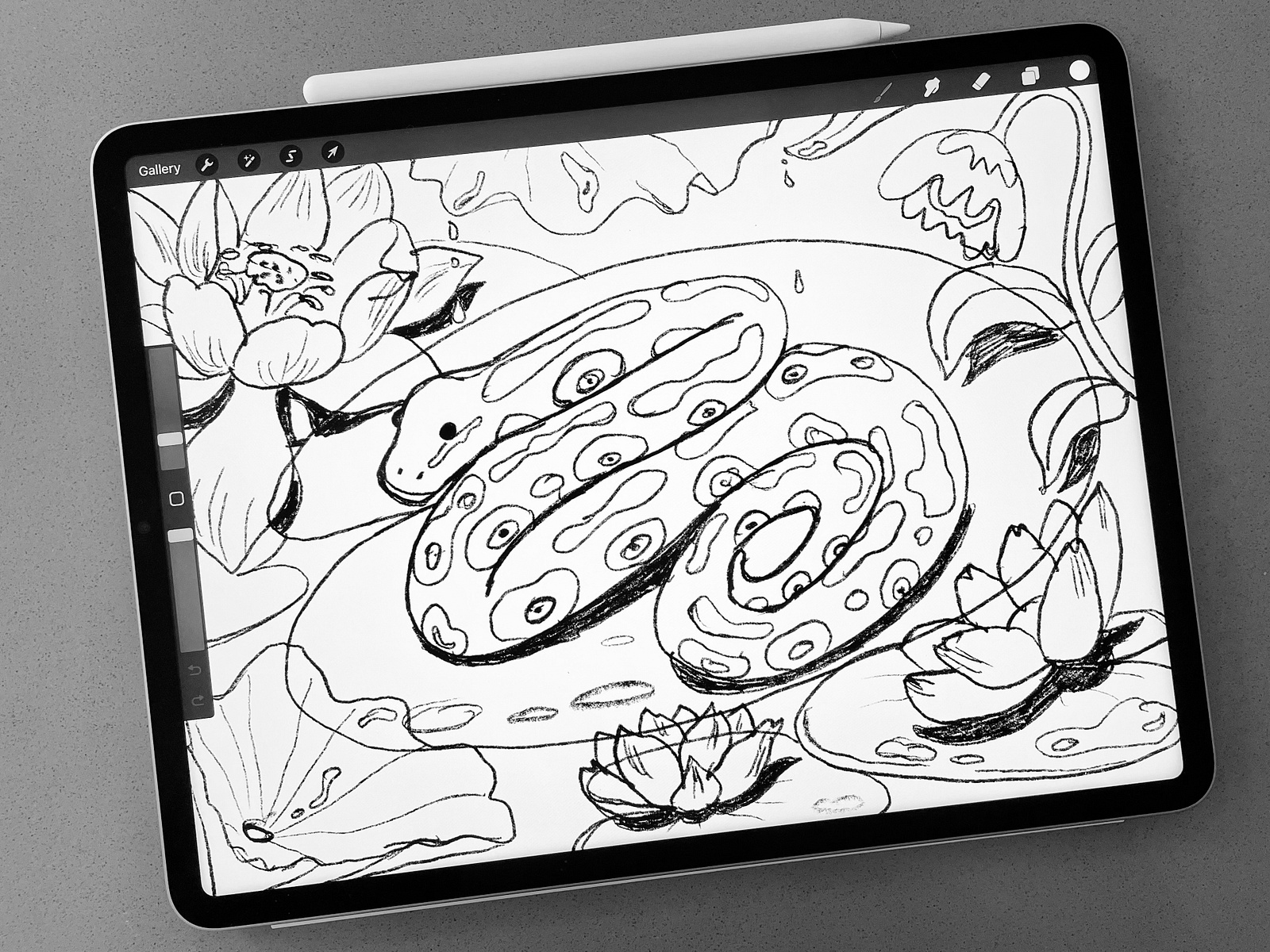 Python Character Design Sketch by Yuliia Hrozian on Dribbble