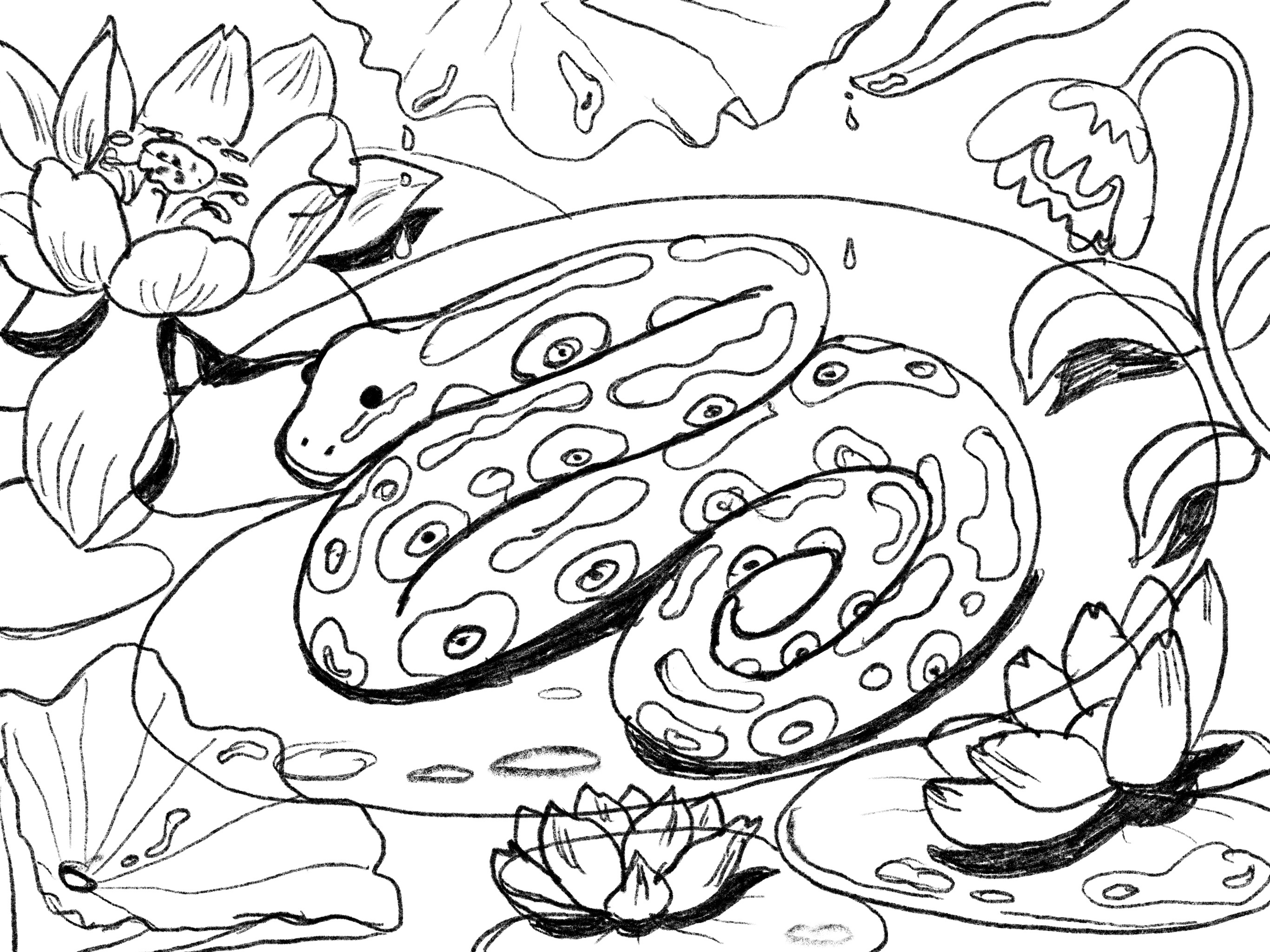 Python Character Design Sketch by Yuliia Hrozian on Dribbble