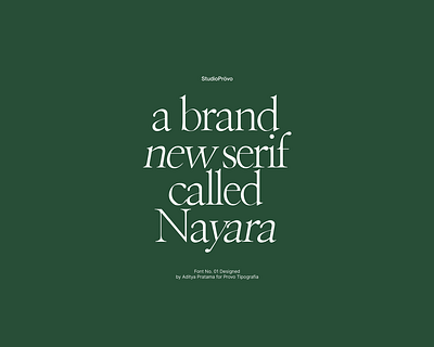 Nayara Serif Font brand branding classy elegant font fonts logo serif serif font type typeface