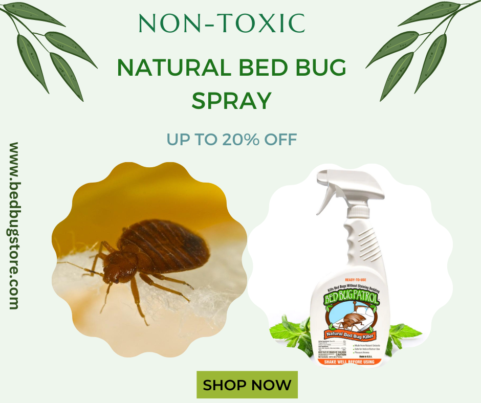 buy-non-toxic-natural-bed-bug-spray-at-20-off-by-bedbugstore-on-dribbble