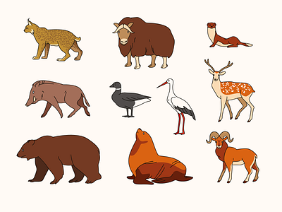 north animals | stickers for children event adobe illustrator animal animals flat graphic design illustration