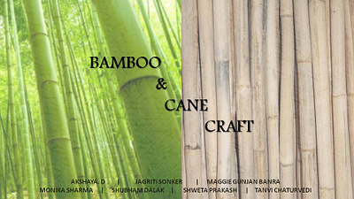 Bamboo and Cane Craft Research Study craft study field research research