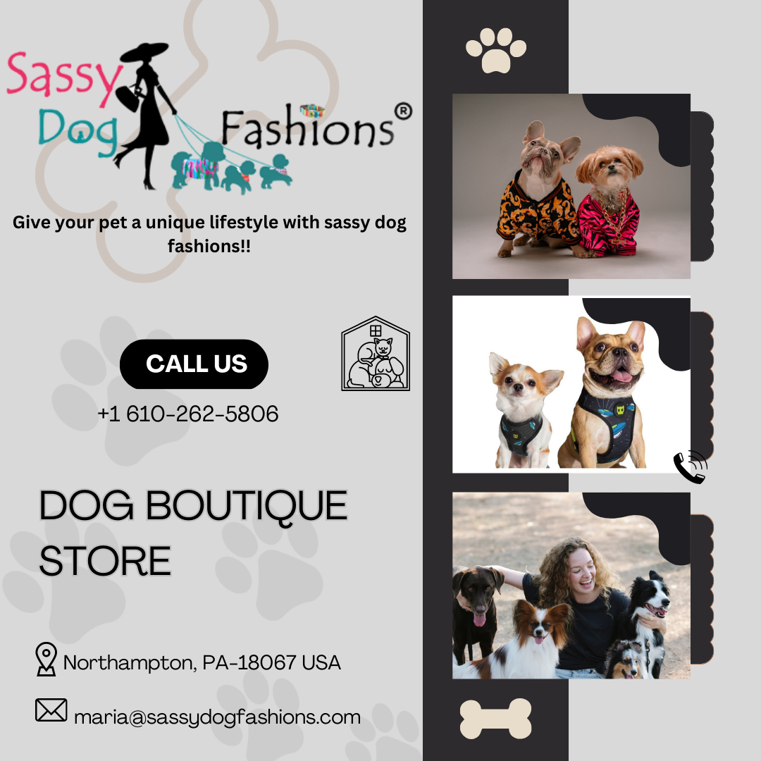 DOG BOUTIQUE STORE by Sassy Dog Fashion on Dribbble