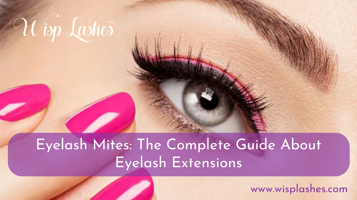 Eyelash Mites The Complete Guide About Eyelash Extensions by Wisp