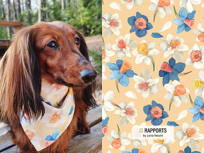 Daffodil print for dog accessories. dog dog accessories fabric print floral flowers illustration pattern design pet seamless pattern surface pattern textile design textile print
