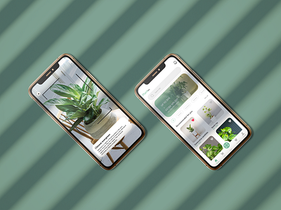 Plant App UI Design Concept app design graphic design ui ux