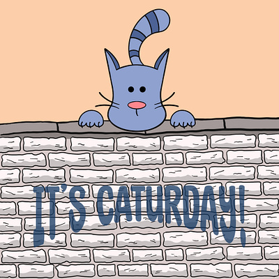 It's Caturday! graphic design illustration