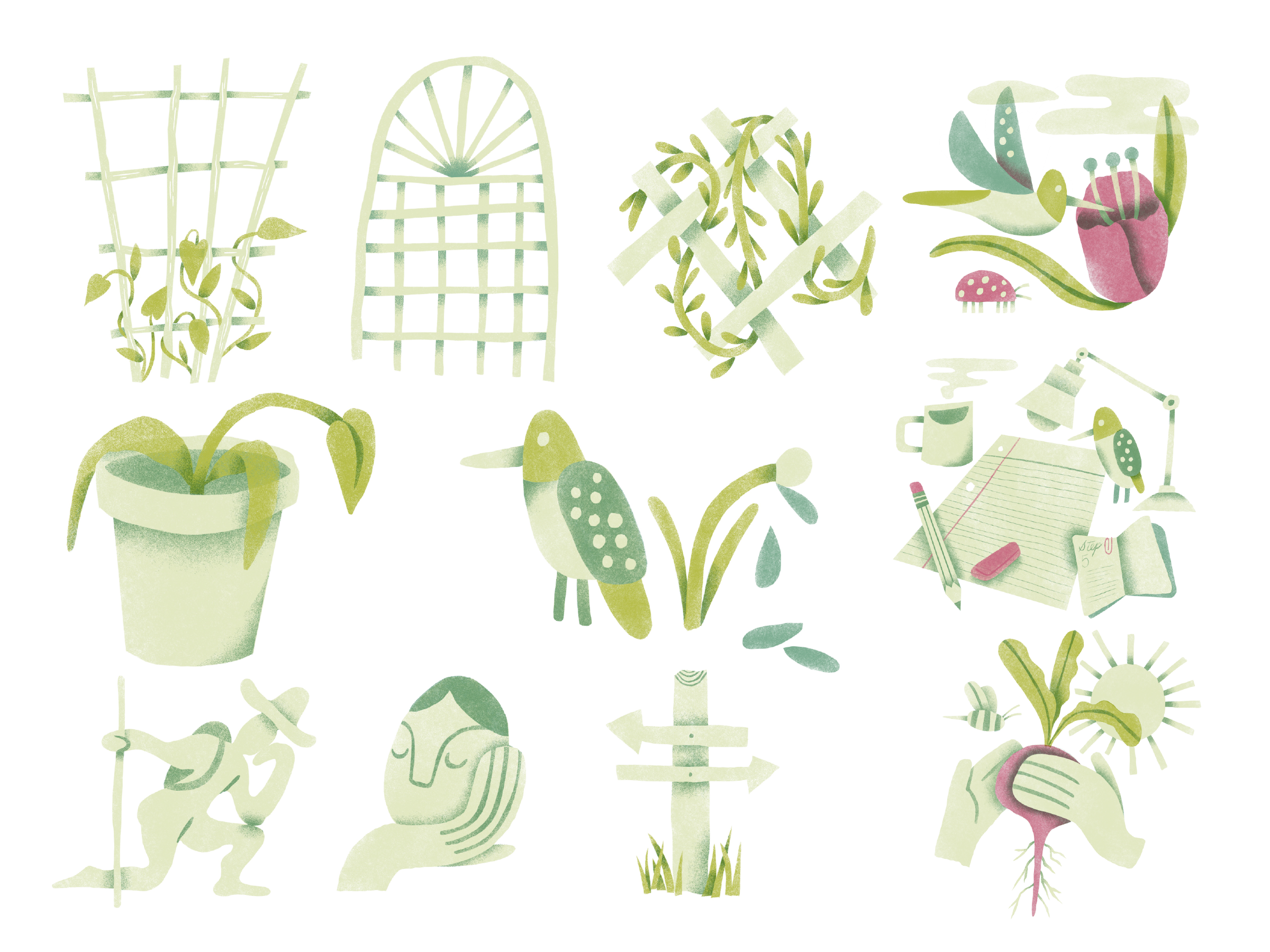 Rule of Life Intensive illustrations birds flowers garden growth illustration life plants rule spot summer trellis