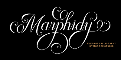 Marphidy branding design font graphic design logo typography