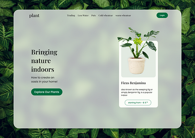 dailyUI day 19 a plants e-com website design dailyui design minimal ui ux web