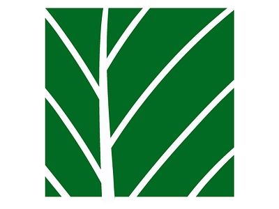 nature branding design graphic design illustration logo minooakbari nature