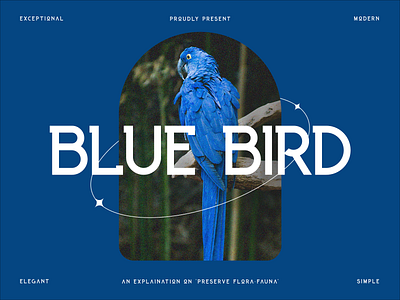 Blue banner bird blue branding design elegent banner fauna flora graphic design growth nature poster simple banner typography ui ux