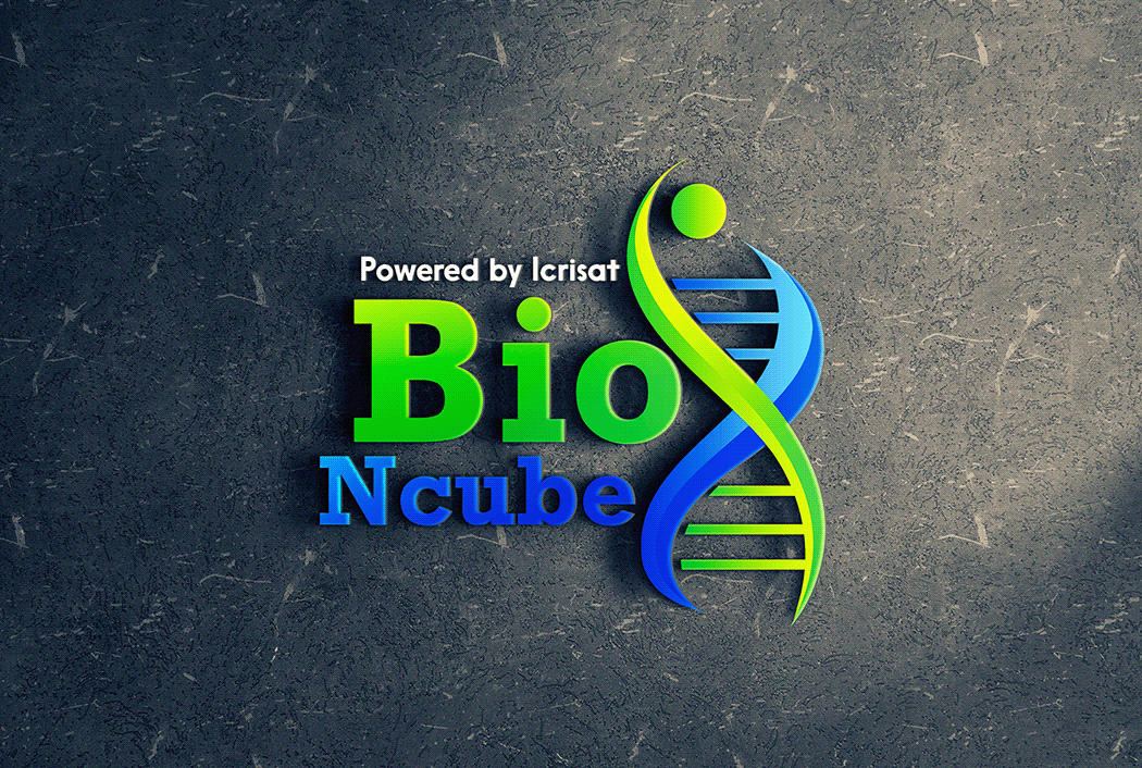 Bio Ncube Logo by Creative Hub on Dribbble