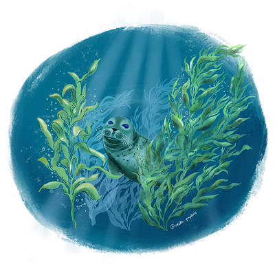 seal life artwork digital illustration oceans sealife seart watercolor