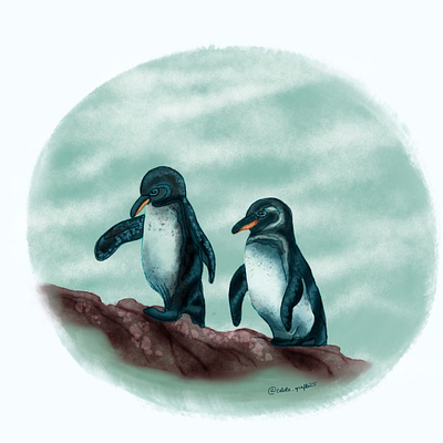 penguin life arctic digital digitalart illustration oceanart oceans penguins procreate sealife
