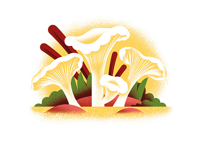 Pasta for all seasons- CHANTERELLES chanterelle daniele simonelli dsgn editorial illustration fungi illustration mushroom texture vector