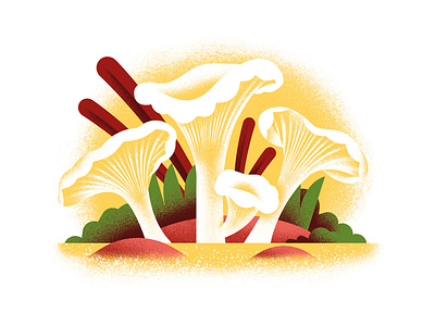Pasta for all seasons- CHANTERELLES chanterelle daniele simonelli dsgn editorial illustration fungi illustration mushroom texture vector