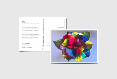 Rainbow Rose Postcard app branding colorful colourful design paint photography rainbow rose